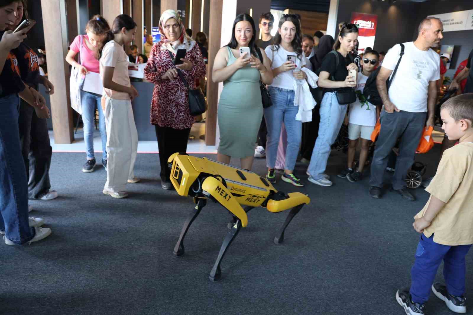 TEKNOFEST’te ’Robot Mext’ için sevgi yarışı
