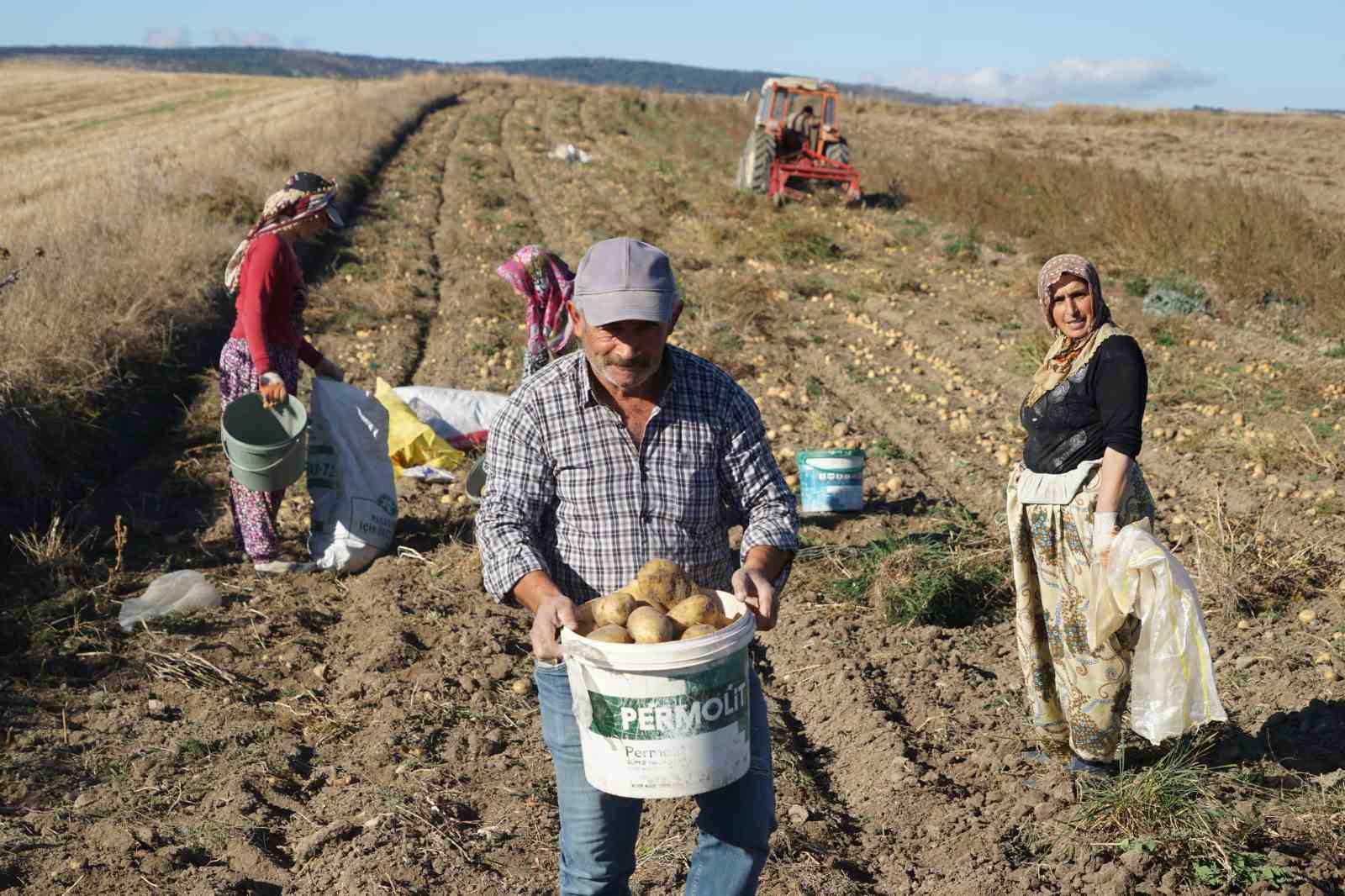 Deneme amaçlı ekilen patates, iki ilçenin geçim kaynağı oldu
