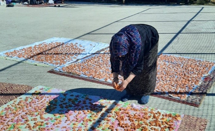 Tavşanlı’da tarhana birlikteliği
