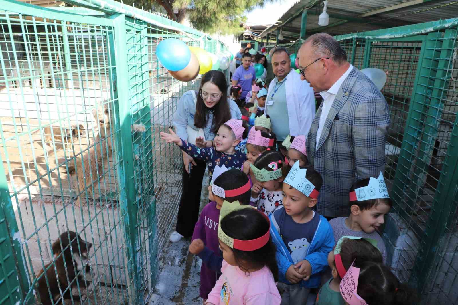 Turgutlu’da sokak hayvanları sahiplendirilecek
