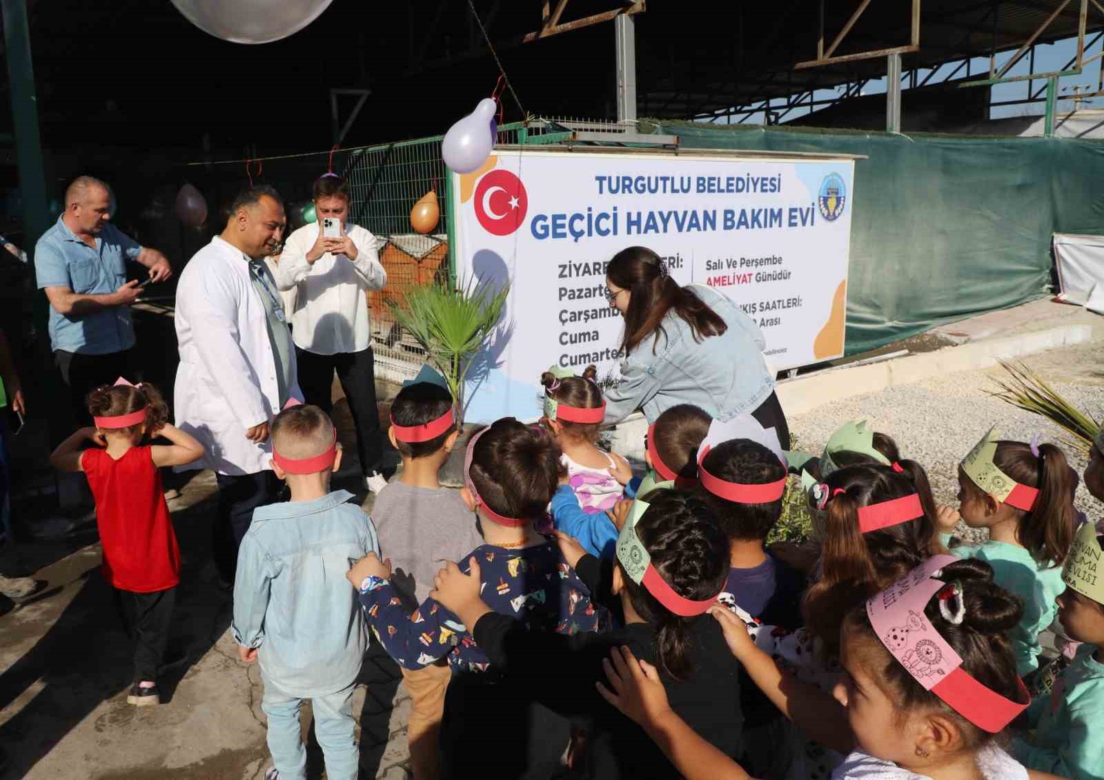 Turgutlu’da sokak hayvanları sahiplendirilecek
