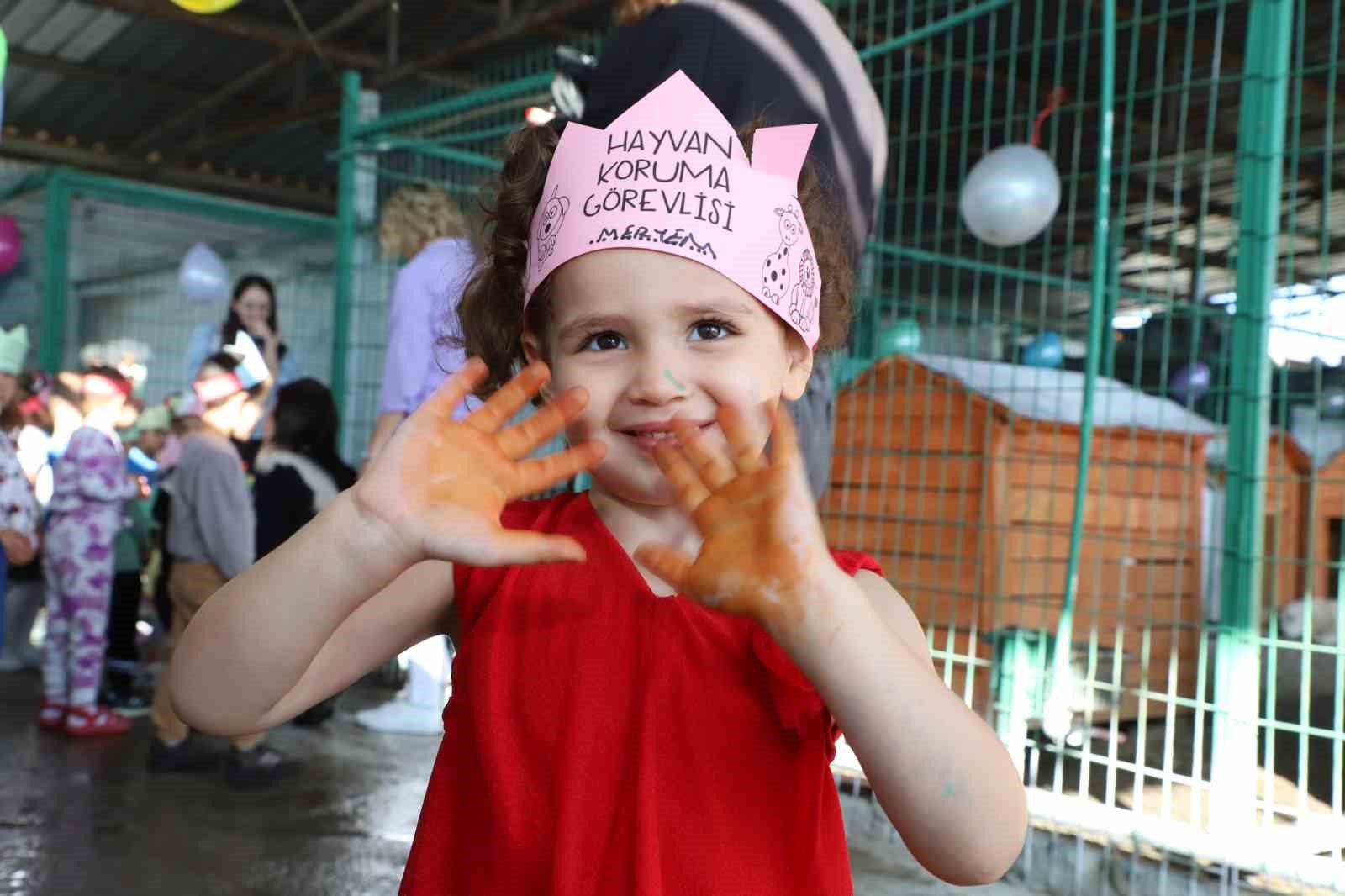 Turgutlu’da sokak hayvanları sahiplendirilecek
