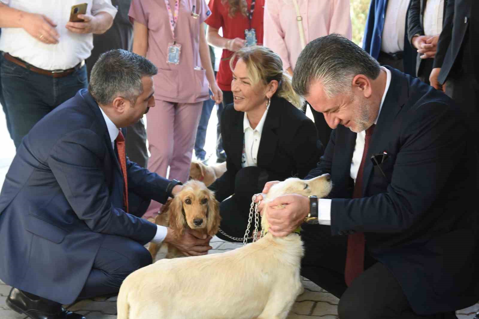 Yıldırım’da can dostlar emin ellerde
