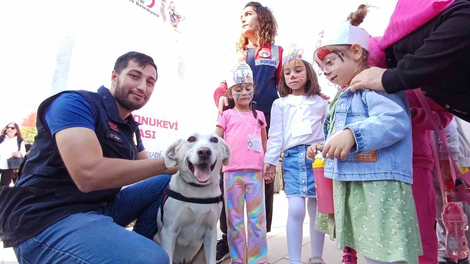 Belediye sokak hayvanlarını unutmadı
