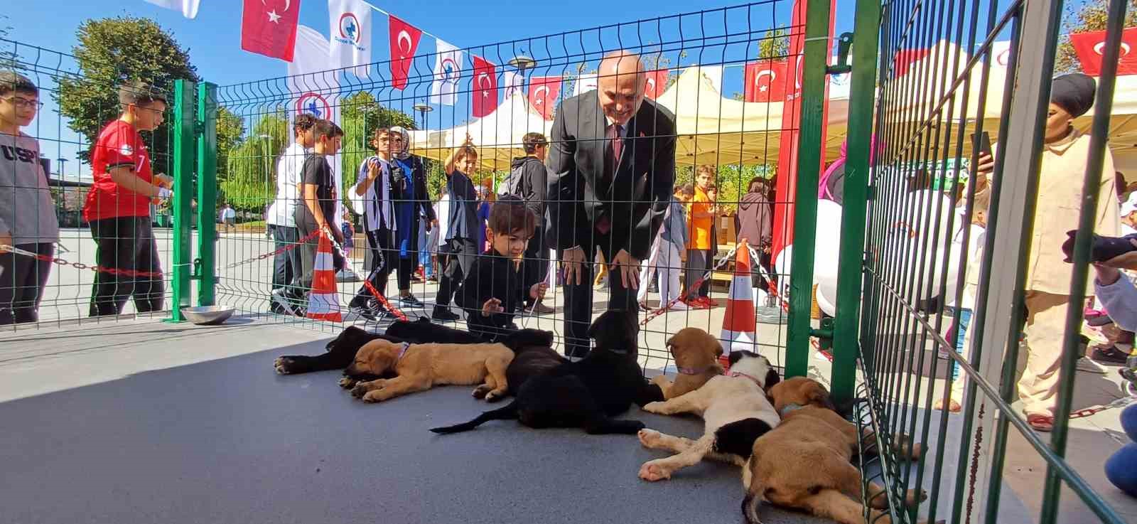 Belediye sokak hayvanlarını unutmadı
