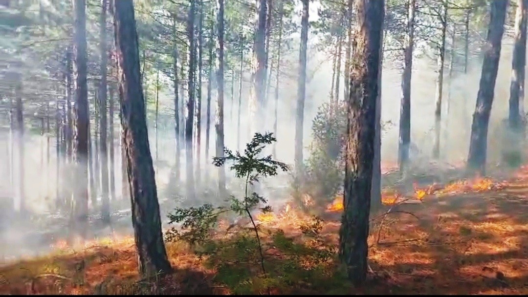 Tavşanlı’da yıldırım kaynaklı çıkan 4 yangın büyümeden söndürüldü
