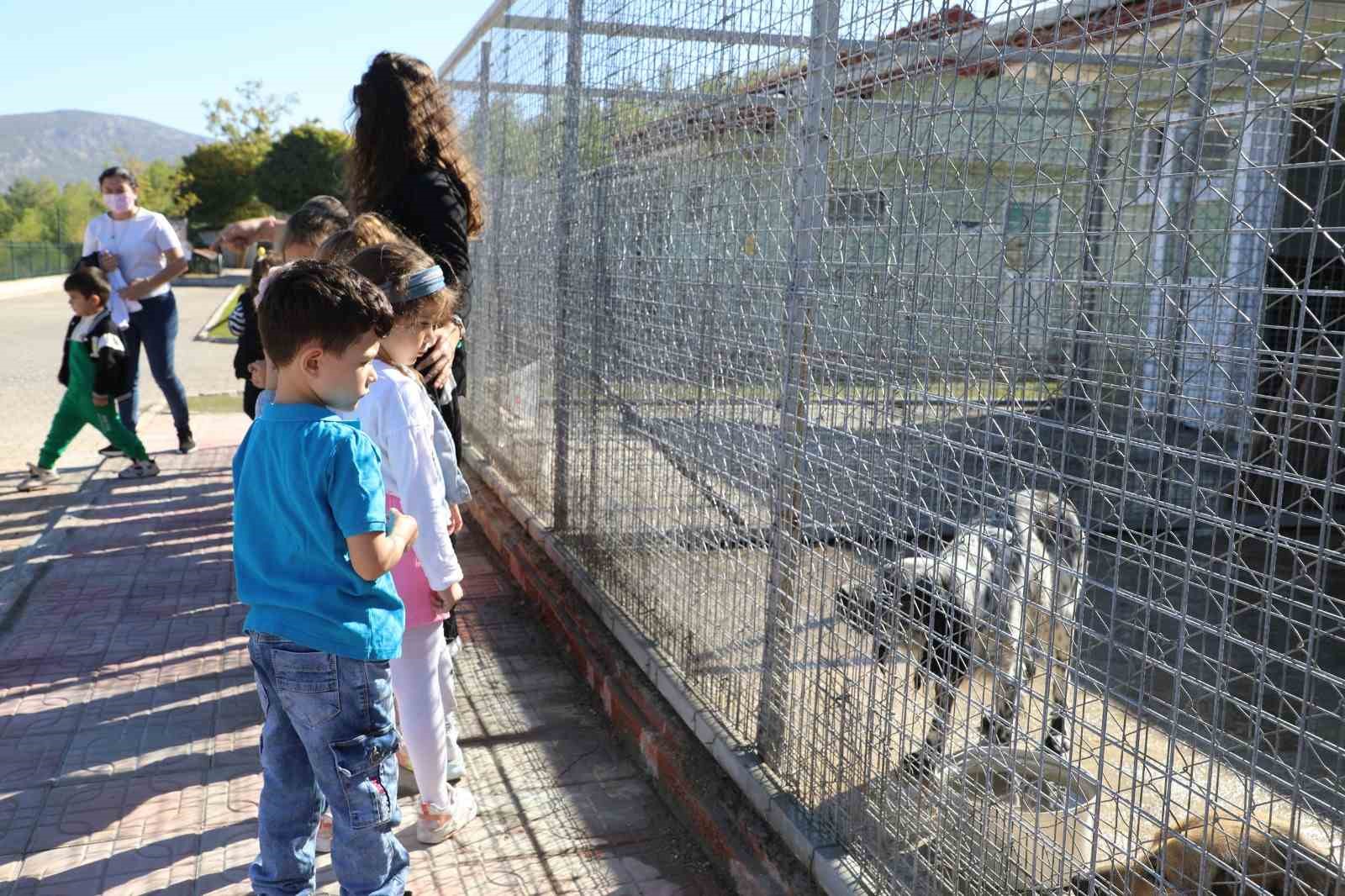 Miniklerden can dostlara 4 Ekim ziyareti
