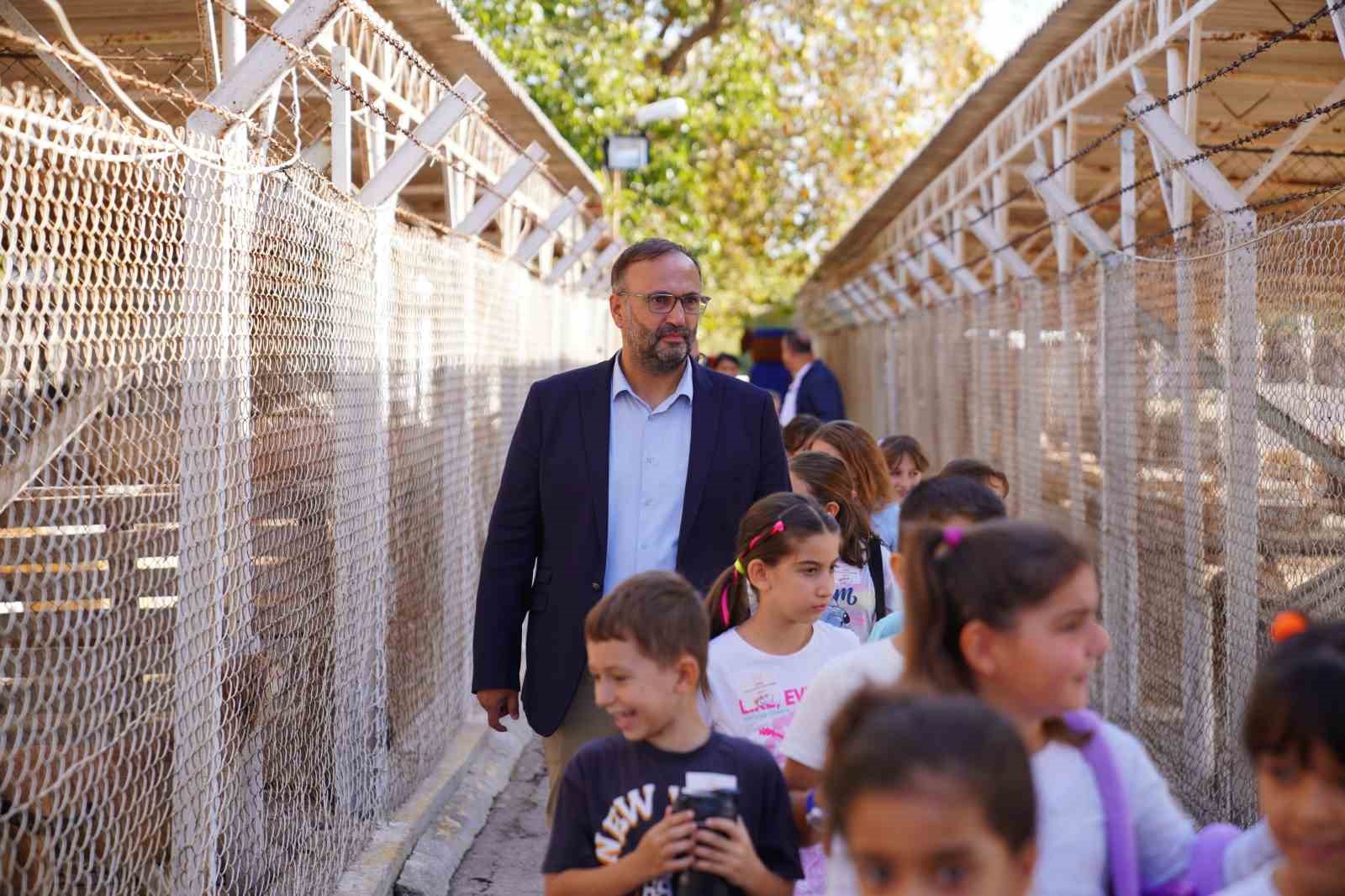 Ayvalık’ta sokak hayvanları unutulmadı
