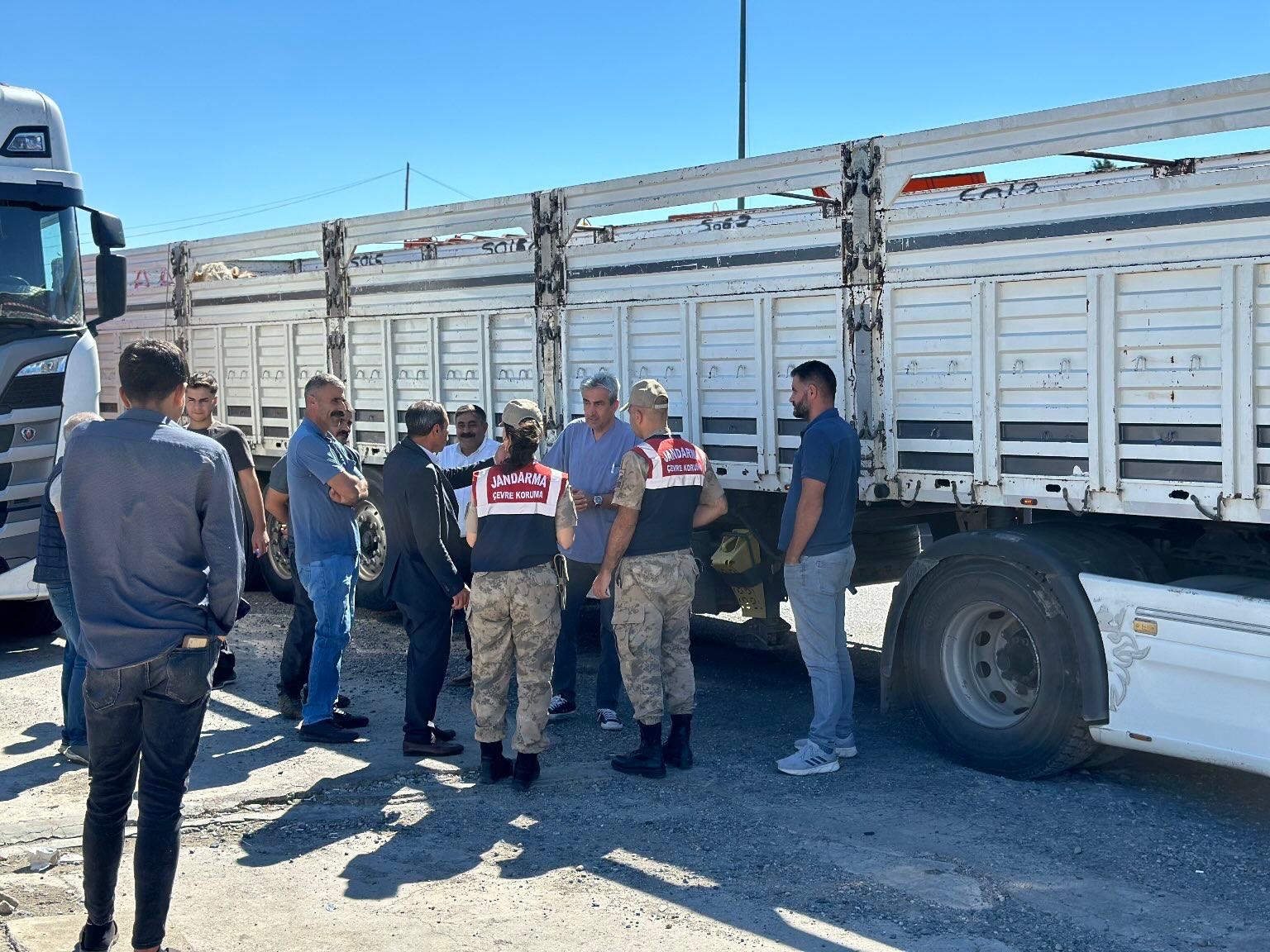 Diyarbakır’da sevk belgesi olmayan 384 adet hayvan kontrole takıldı
