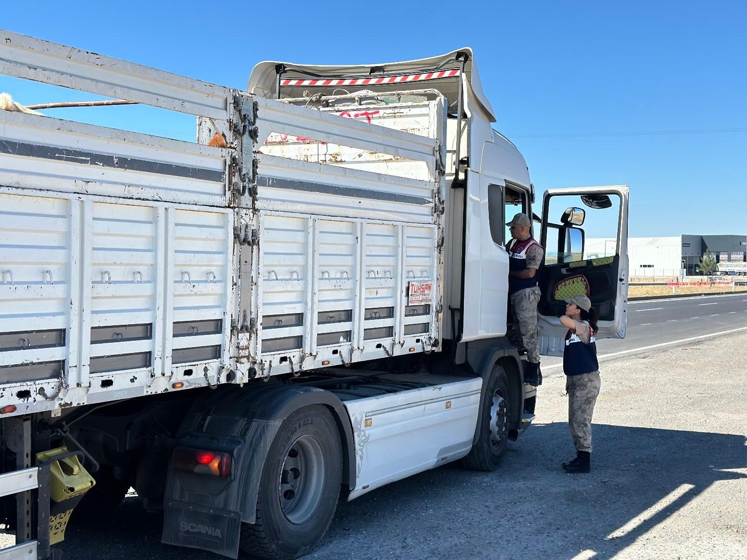 Diyarbakır’da sevk belgesi olmayan 384 adet hayvan kontrole takıldı
