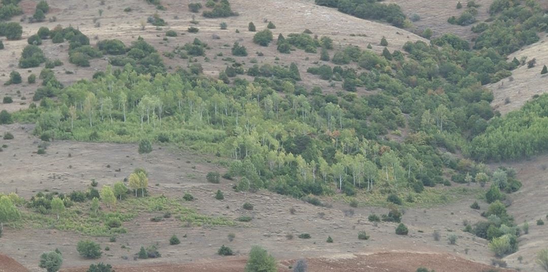 Yüksek budama fiyatları köylüleri odunsuz bıraktı
