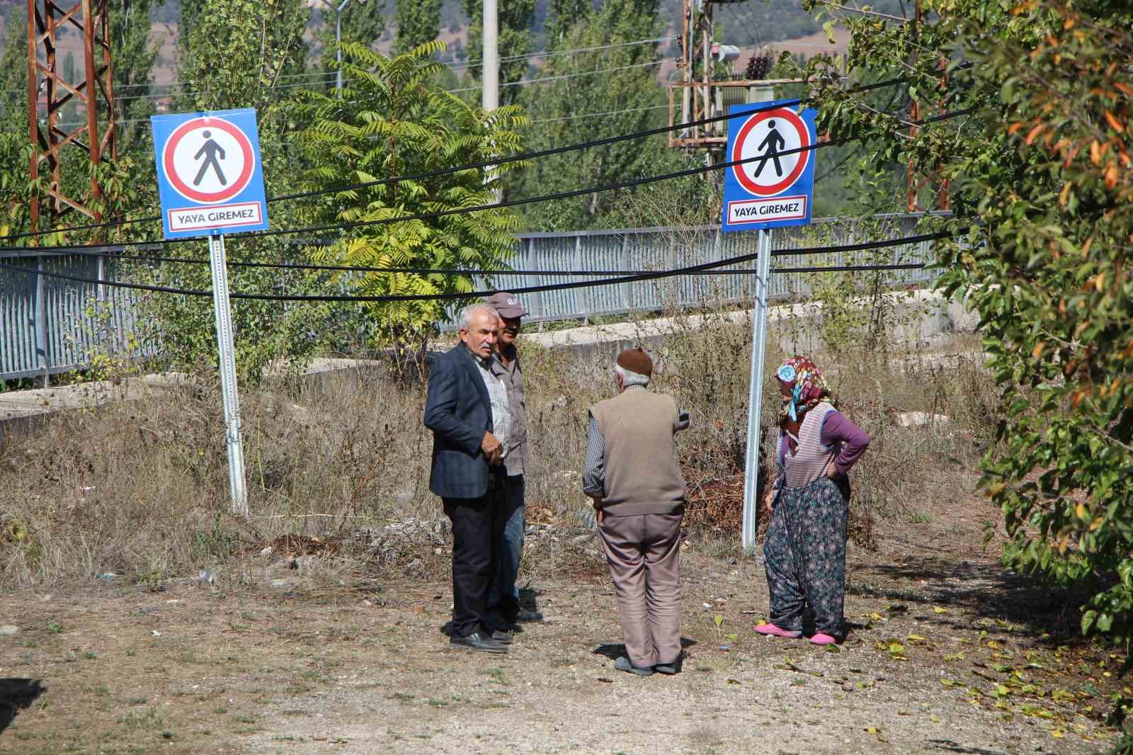 Amasya’da 16 yıldır tamamlanamayan üstgeçitte ağaçlar bitti
