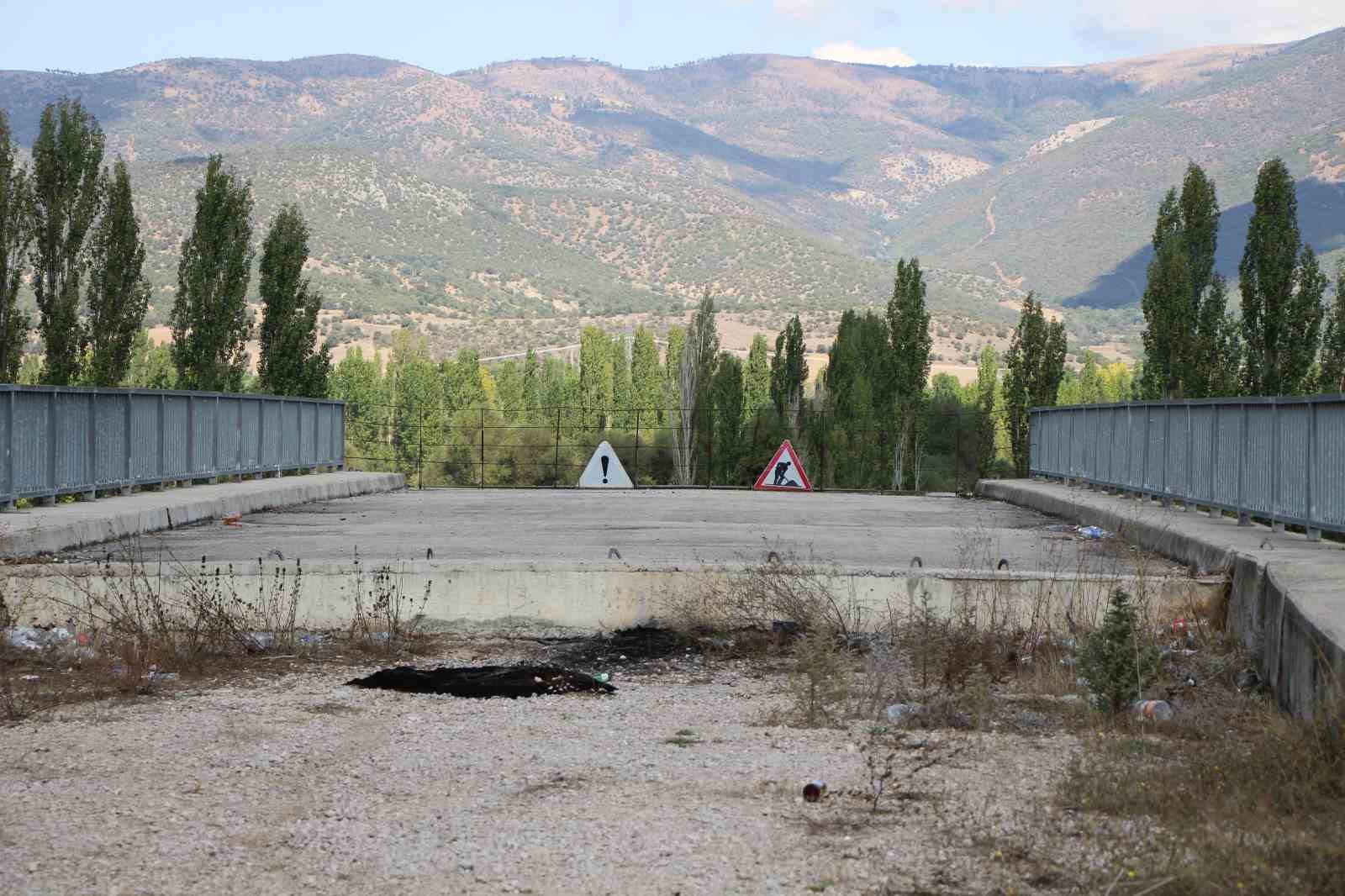 Amasya’da 16 yıldır tamamlanamayan üstgeçitte ağaçlar bitti
