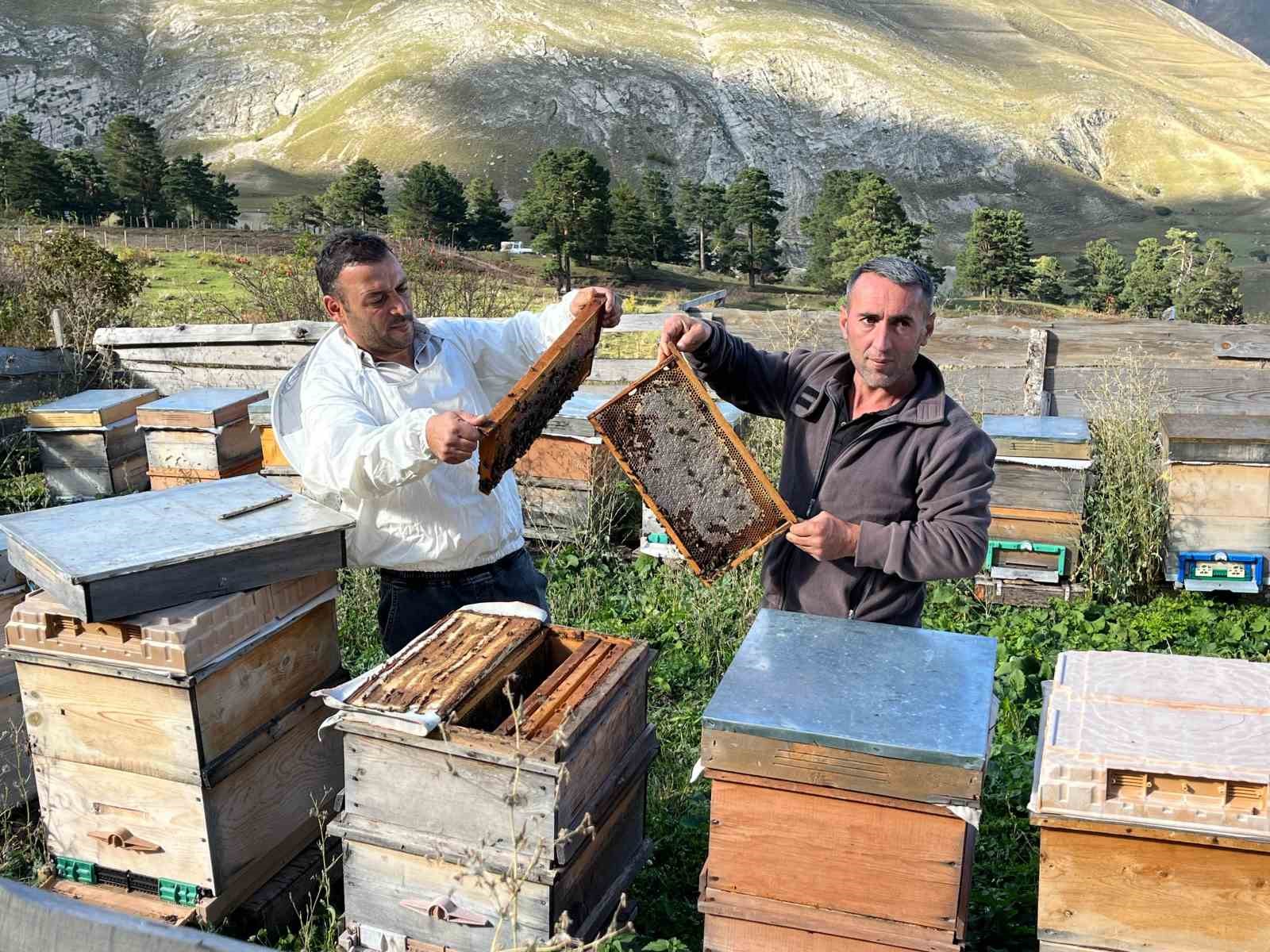 Artvin’de keşfedilen bal, köylünün yeni gelir kapısı oldu
