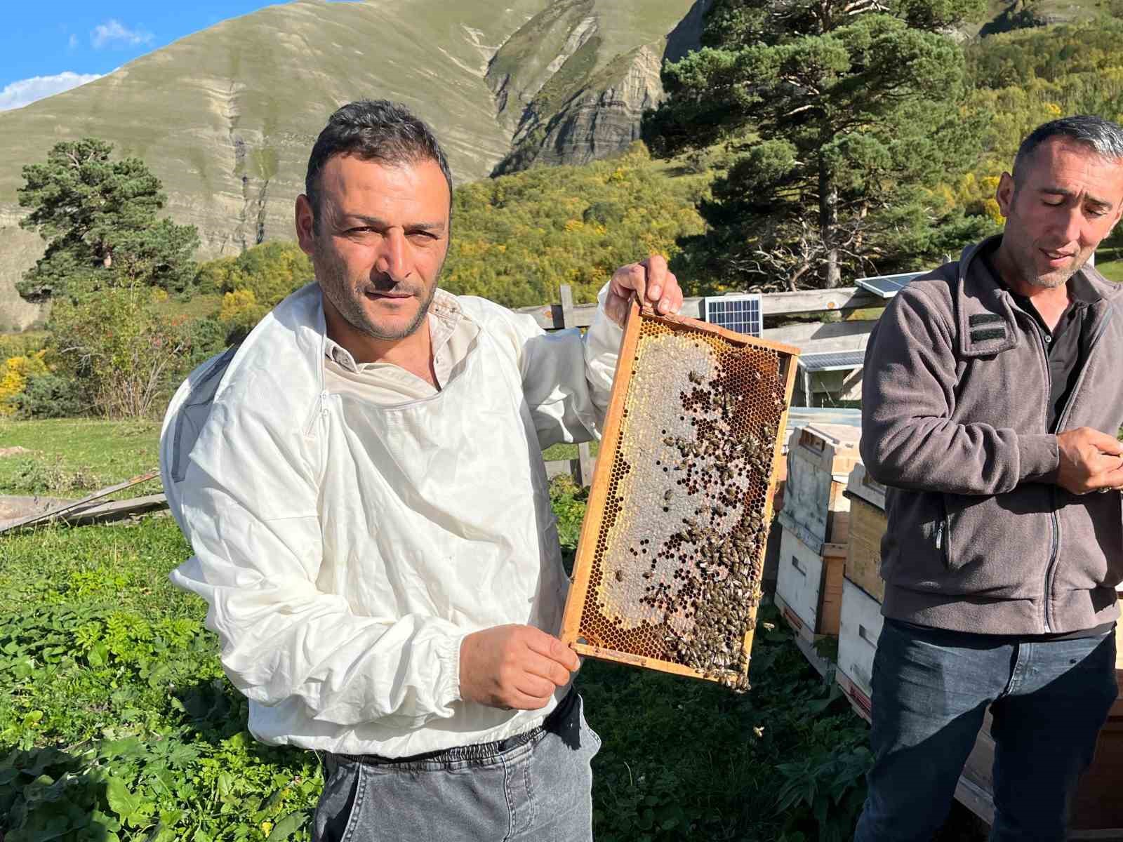 Artvin’de keşfedilen bal, köylünün yeni gelir kapısı oldu
