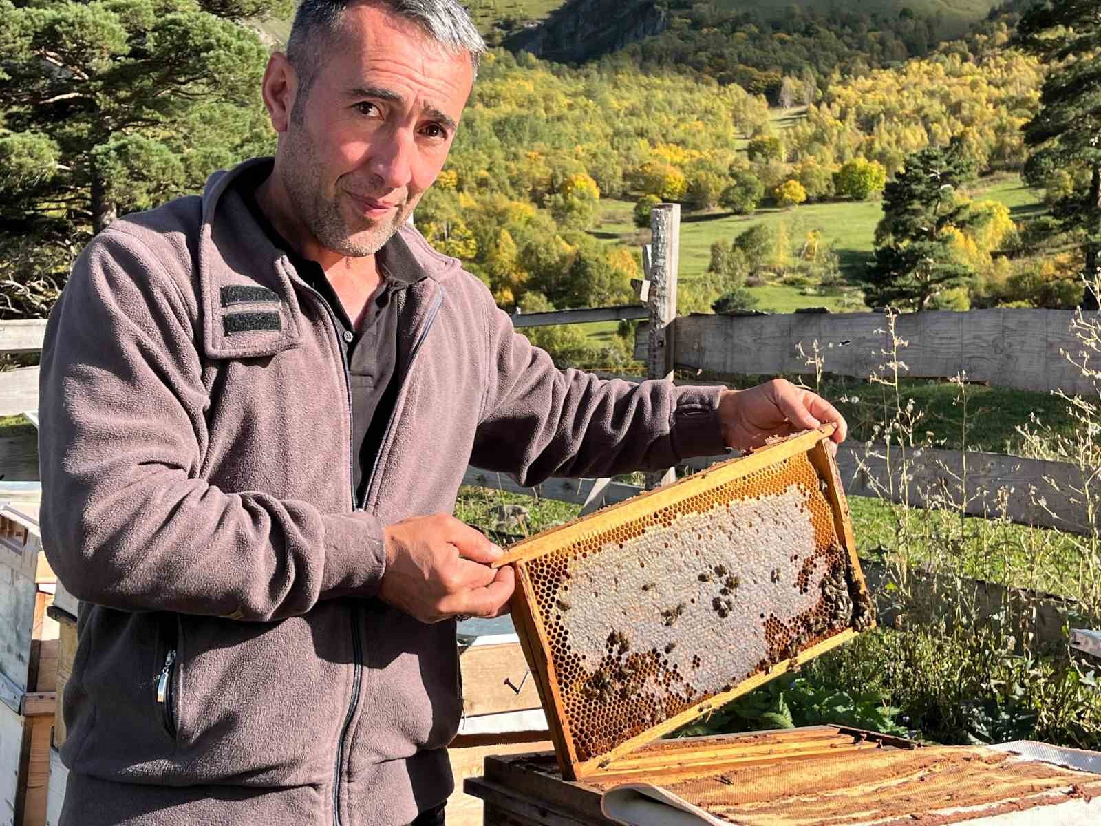 Artvin’de keşfedilen bal, köylünün yeni gelir kapısı oldu
