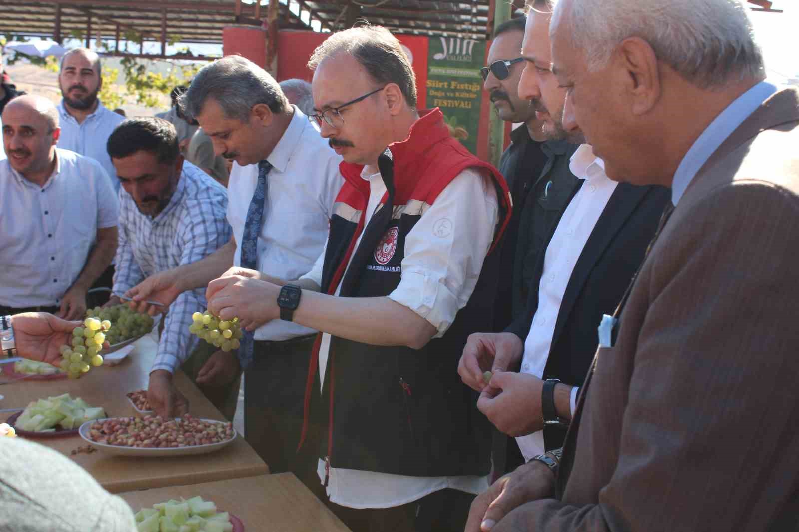 Siirt’te ‘Fıstık Festivali’ kapsamında fıstık hasadı yapıldı
