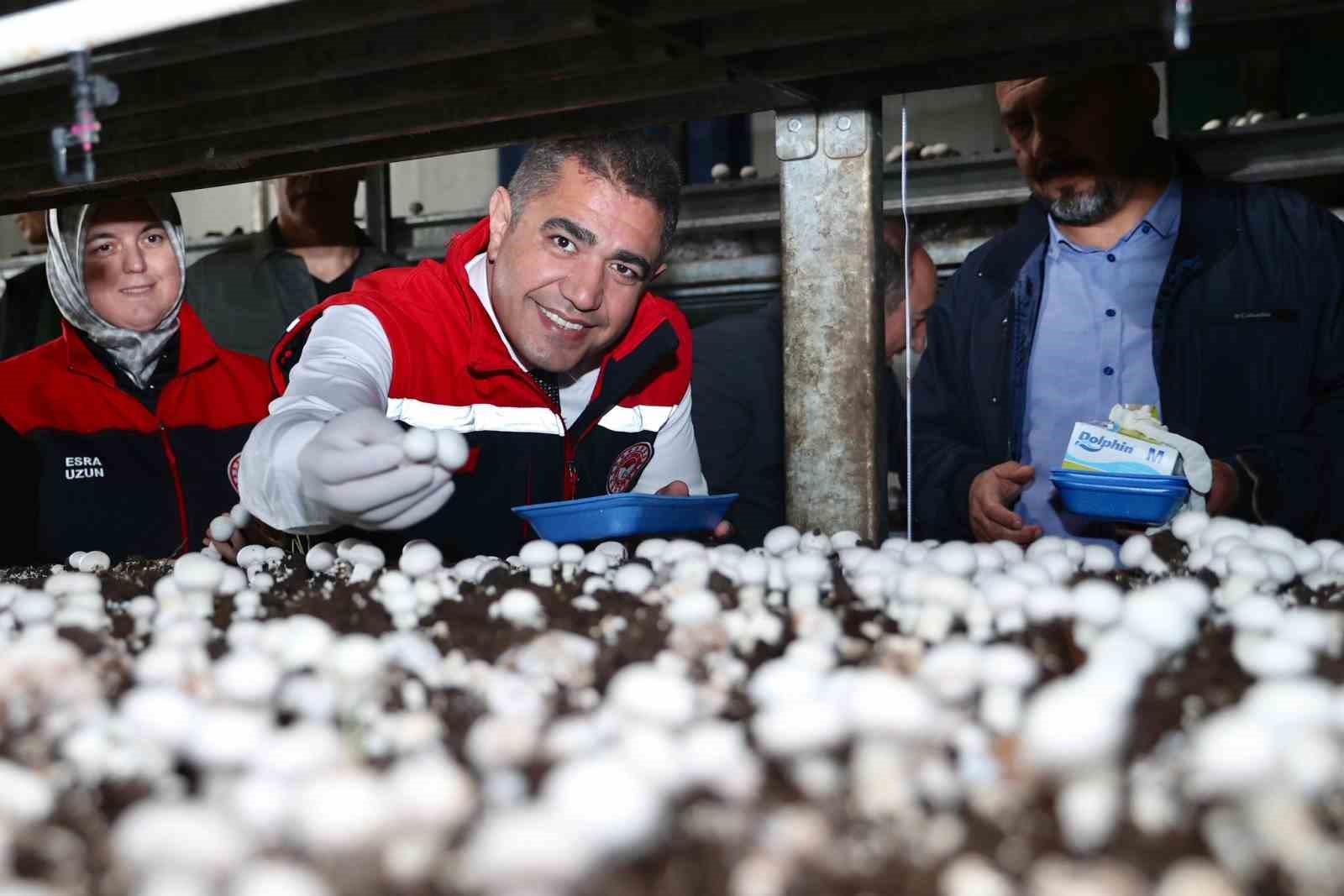 İyi tarım uygulama alanında inceleme
