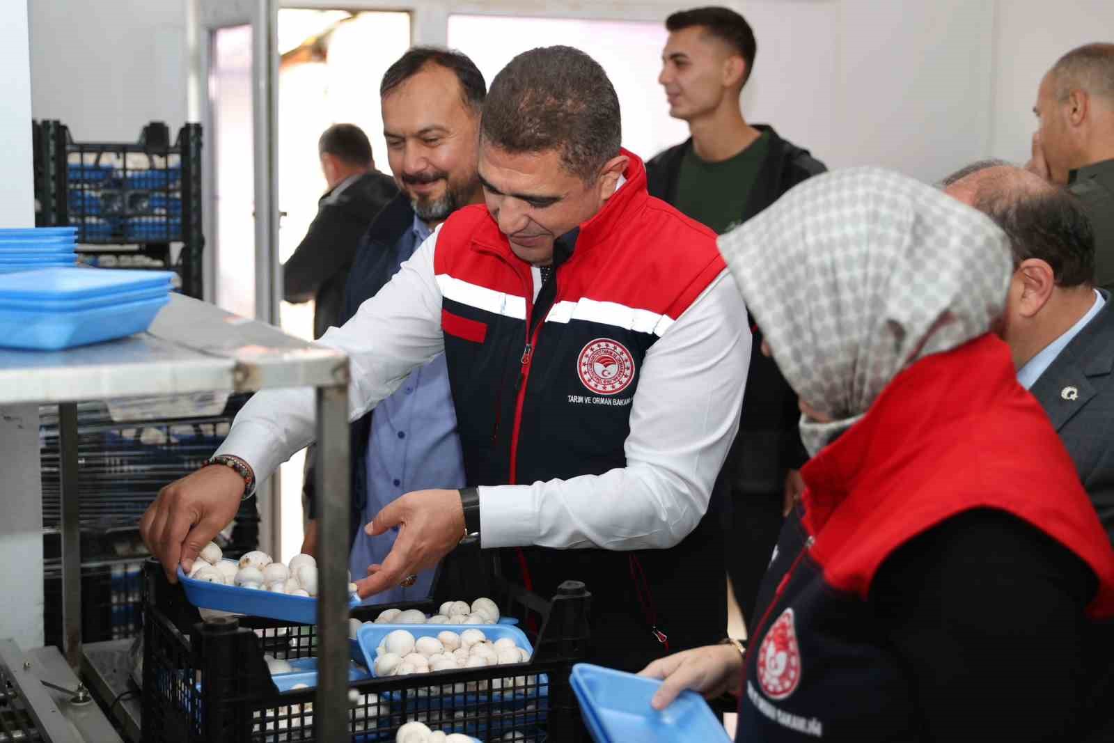 İyi tarım uygulama alanında inceleme
