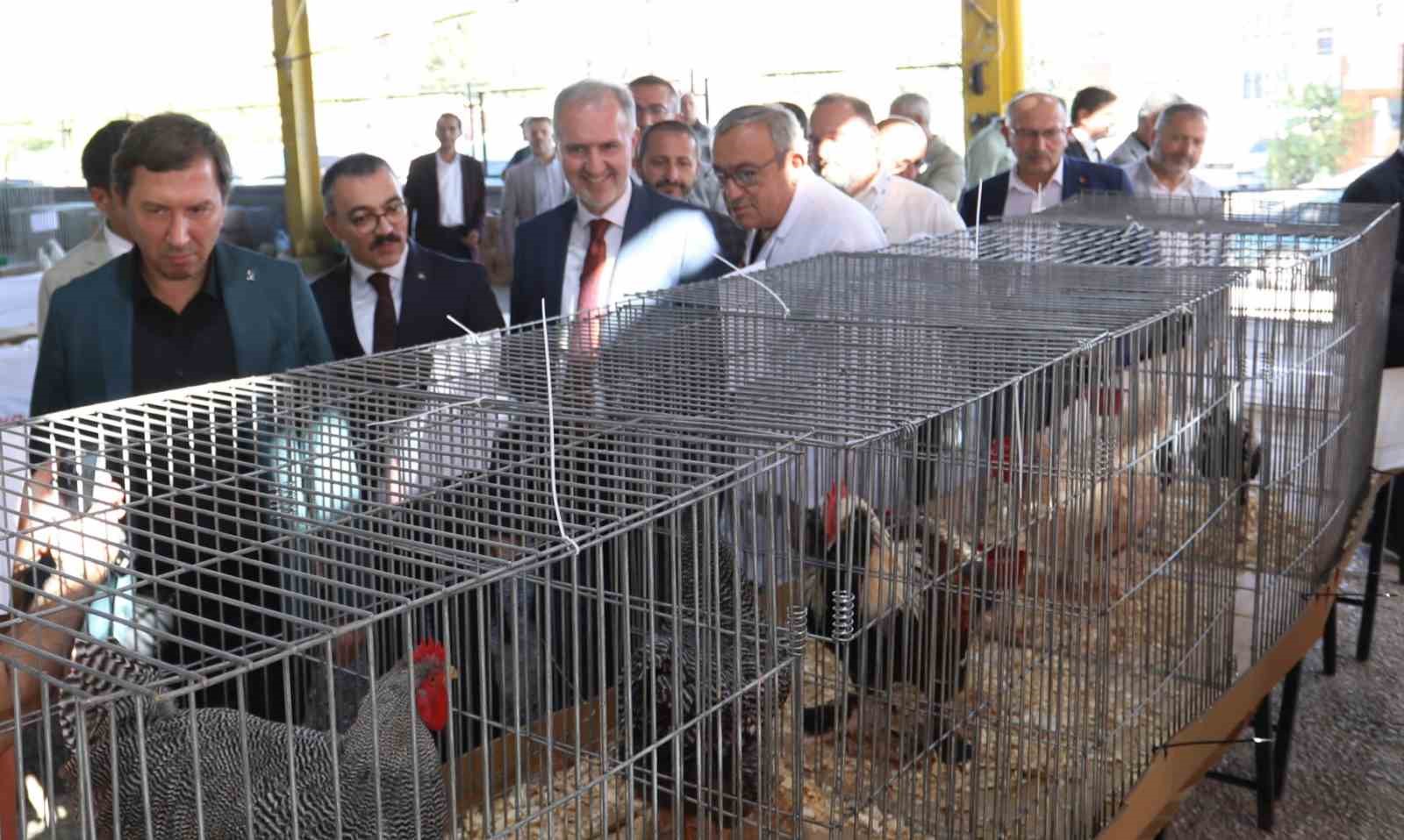 İnegöl’de Küçükbaş Hayvancılık Festivali başladı
