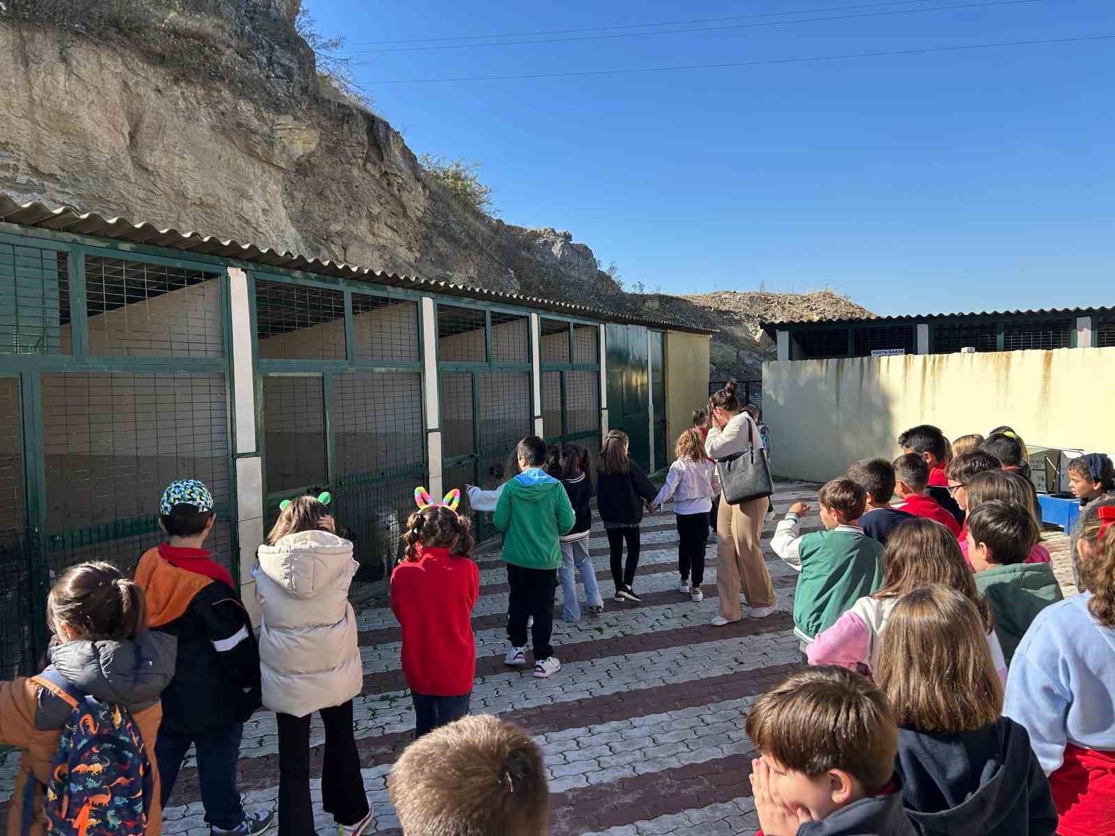 Öğrenciler sokak hayvanlarını yalnız bırakmadı
