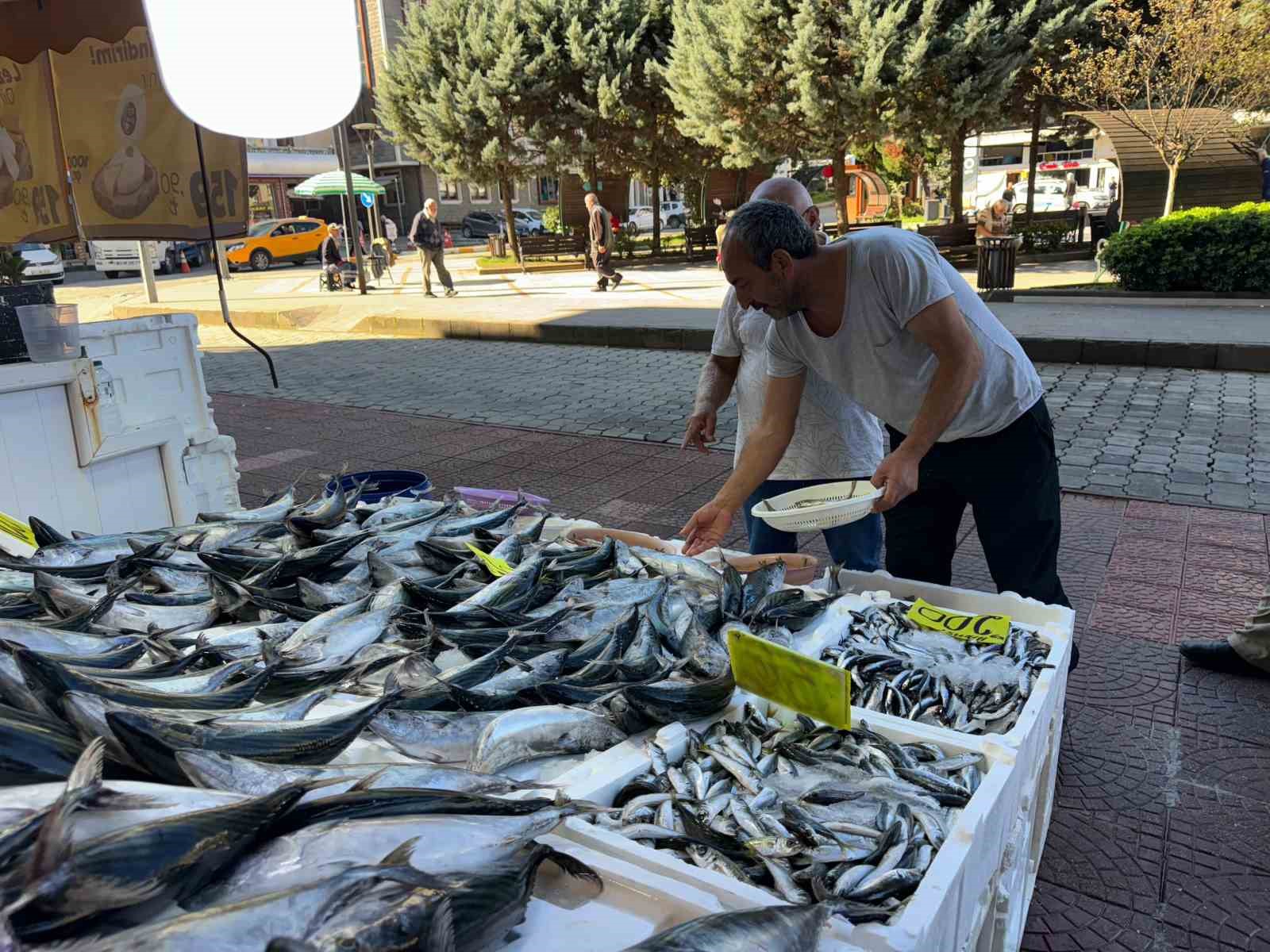 Rize’de hamsi tezgaha 200 TL’den girdi, palamudun saltanatı devam etti
