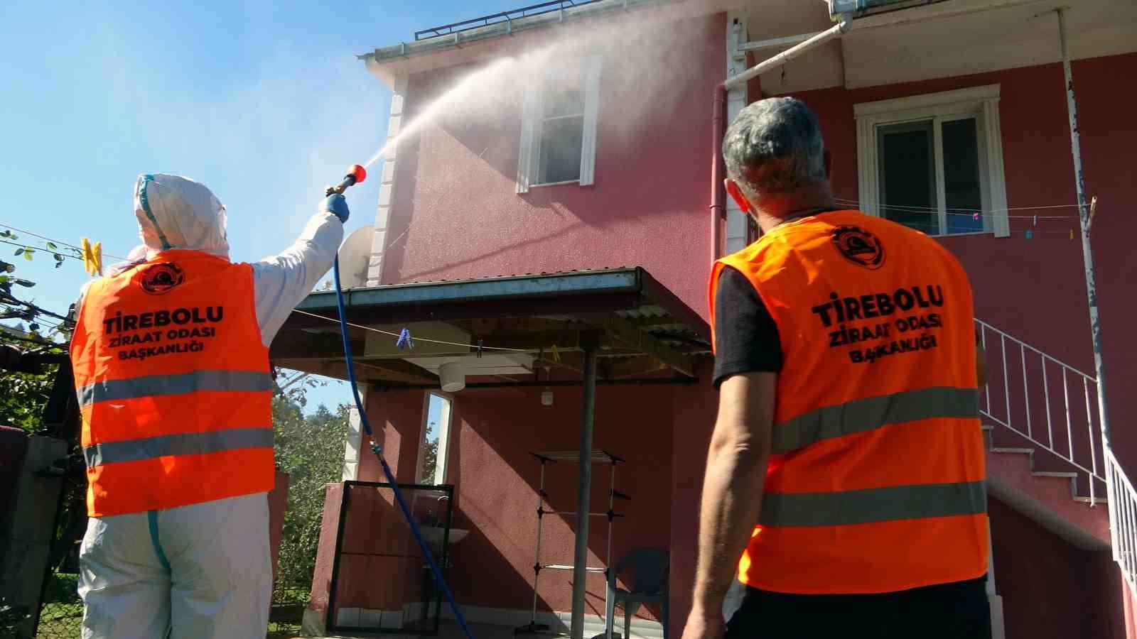 Kış öncesi Kahverengi Kokarca ile mücadele hız kazandı
