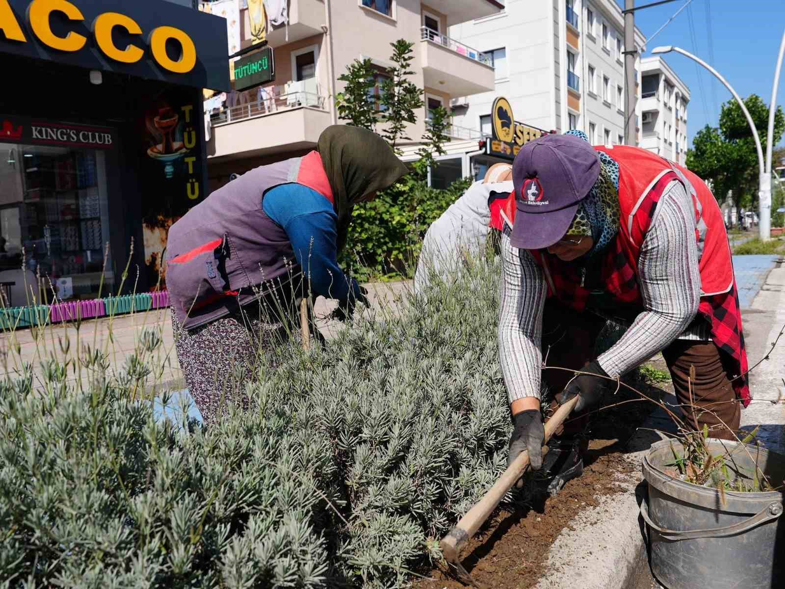 Yeşil dokuya özel ilgi
