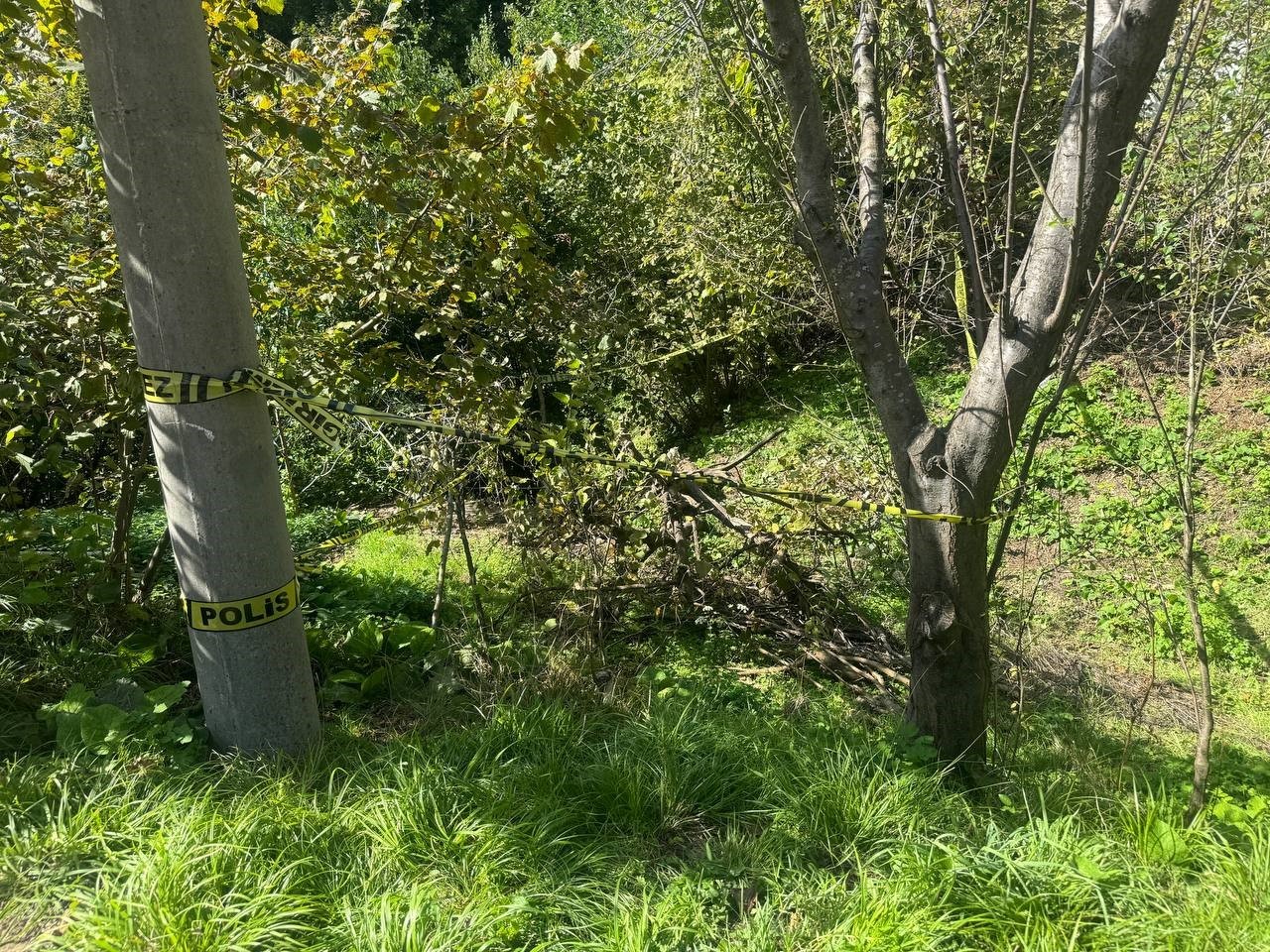 Evinin bahçesindeki yaşlı kadını domuz sanıp ölümüne sebep oldu
