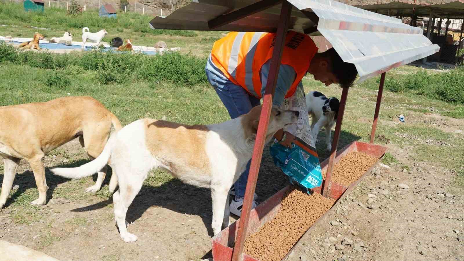 Atakum Belediyesi patili dostların yanında
