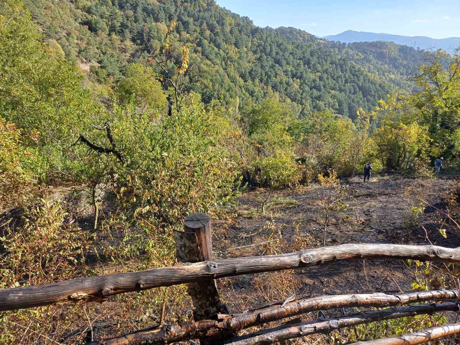 Bursa’da peş peşe yangın Ormanlık alanda çıkan yangına ekiplerin müdahalesi sürüyor
