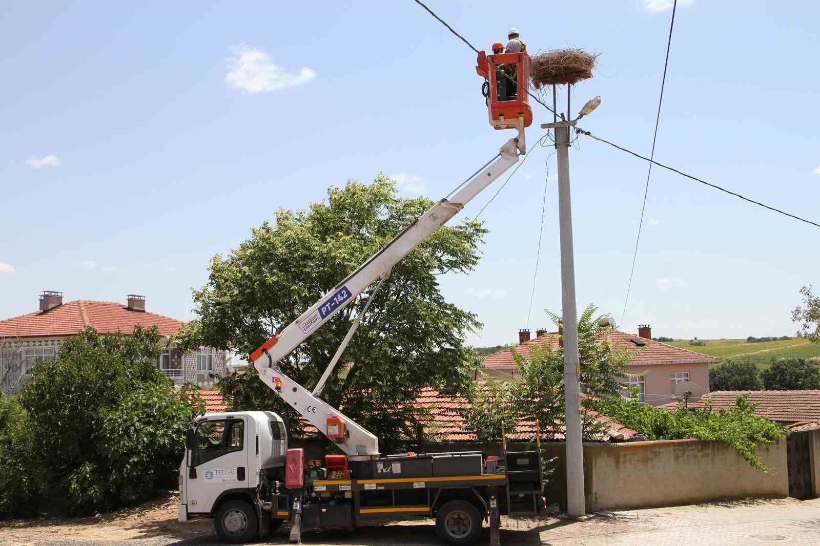 Doğadaki hayvanlar için koruma çalışmaları devam ediyor
