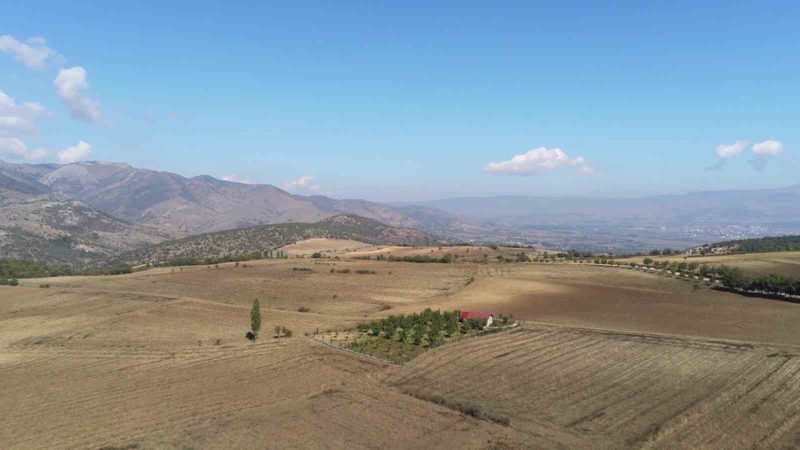 Haçlı ordusunun bozguna uğradığı tarihi zaferin izleri gün yüzüne çıkarılacak
