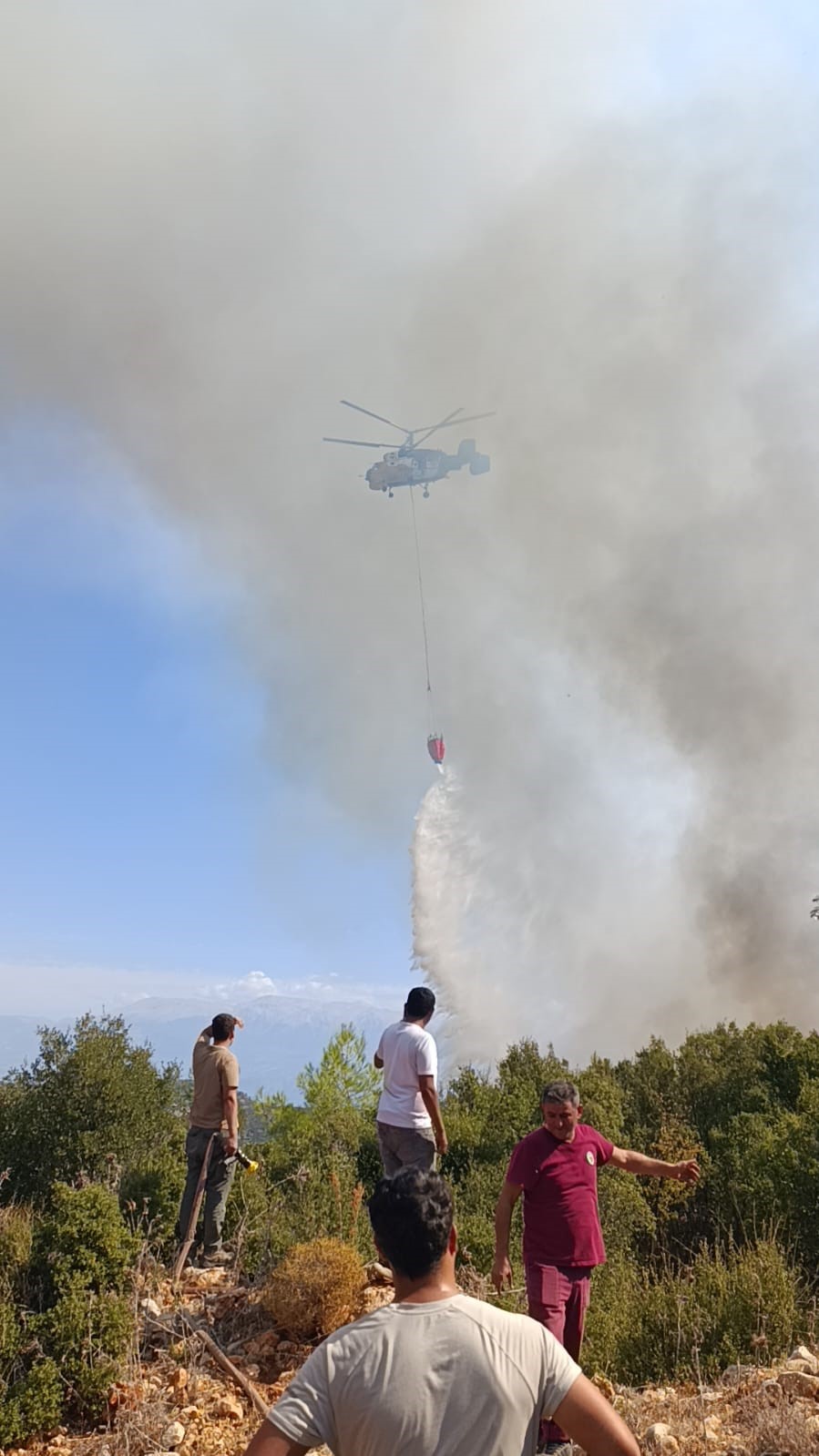 Seydikemer’de orman yangını
