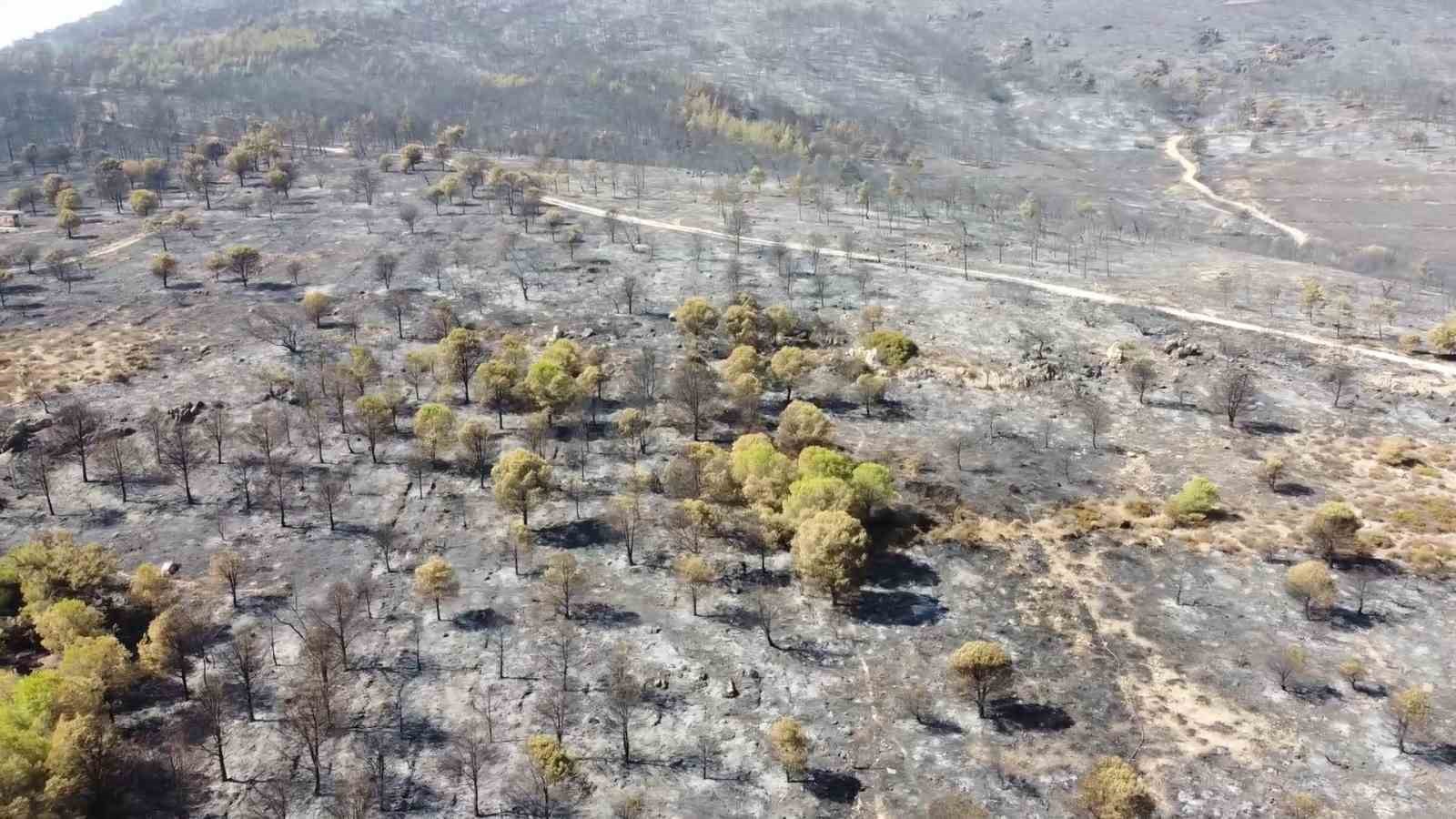 Foça yangınında hasarın boyutu havadan görüntülendi
