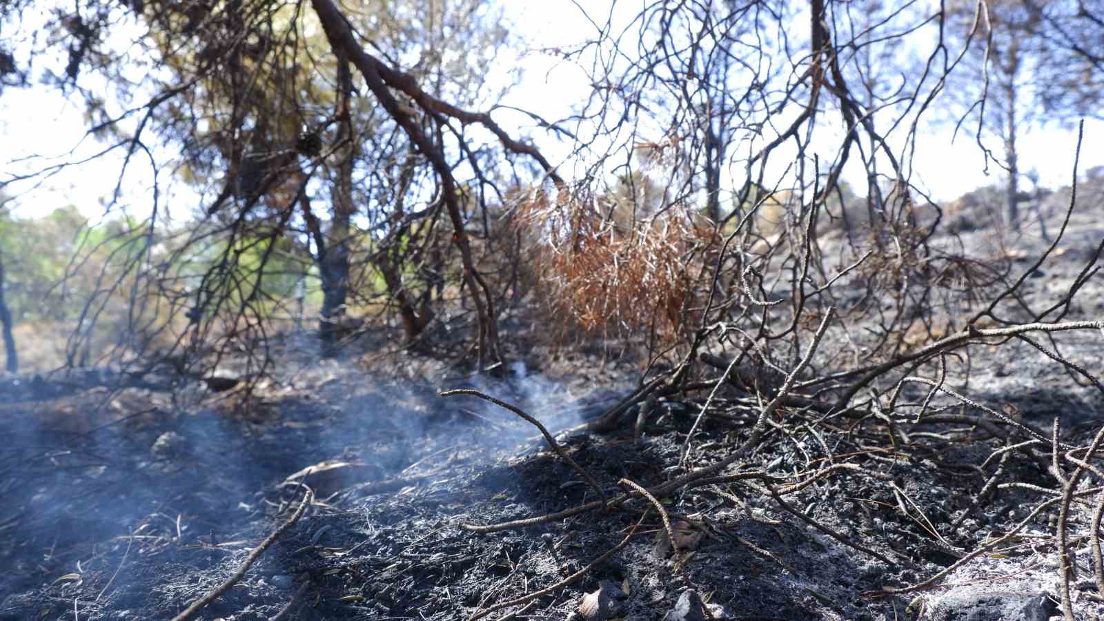 Foça yangınında hasarın boyutu havadan görüntülendi
