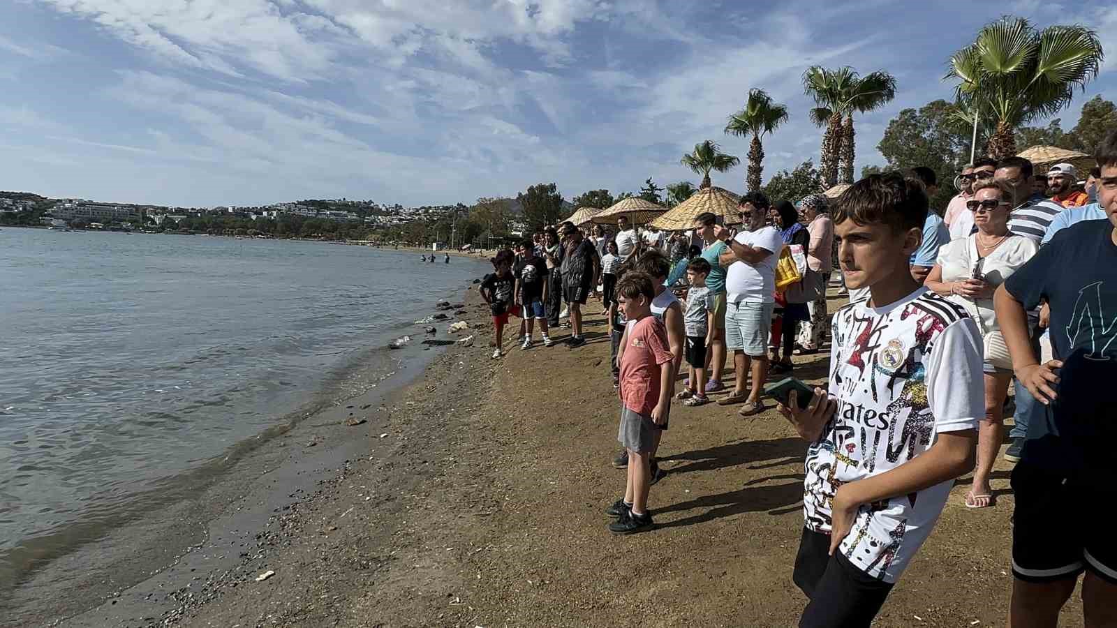 Bodrum’da turistler yüzerken büyük sürprizle karşılaştı
