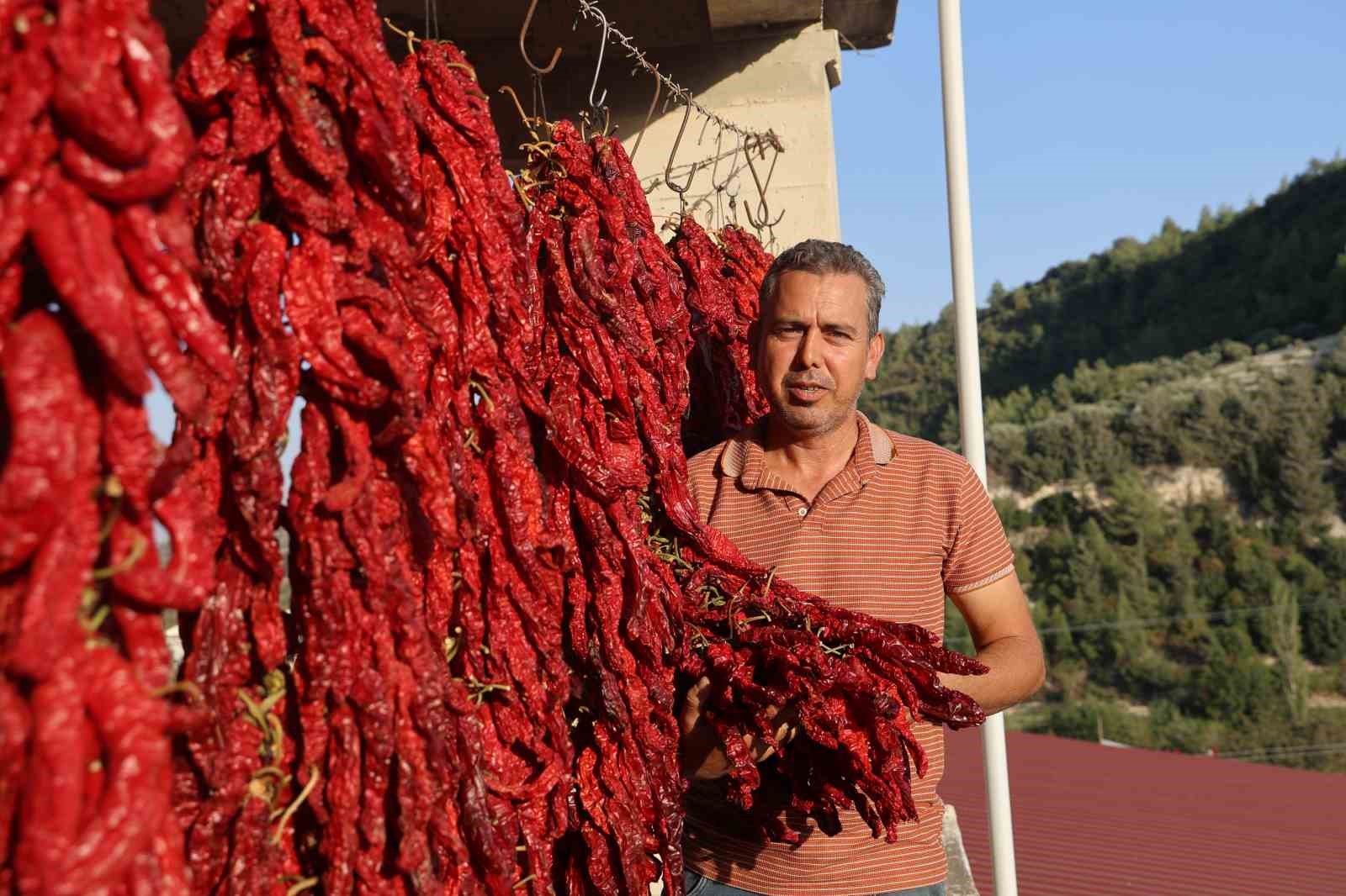 Kurutmalık biberlerle mahalle adeta kırmızıya büründü
