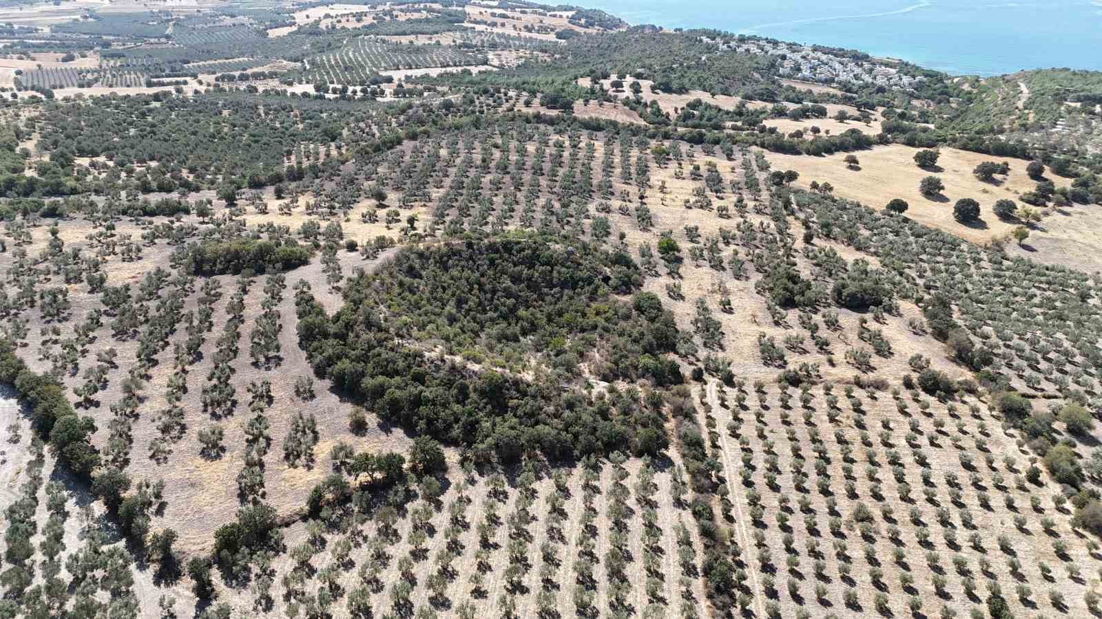 (Özel) 2 bin 400 yıllık tiyatro
