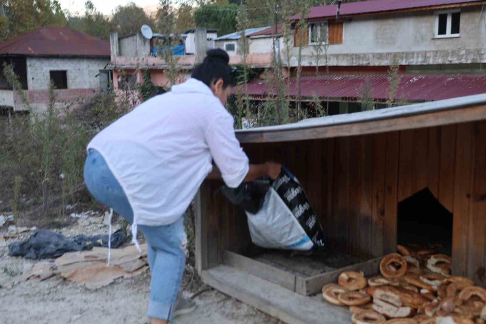 Yolda giderken kafası salça bidonuna sıkışan köpeği görüp kurtardı
