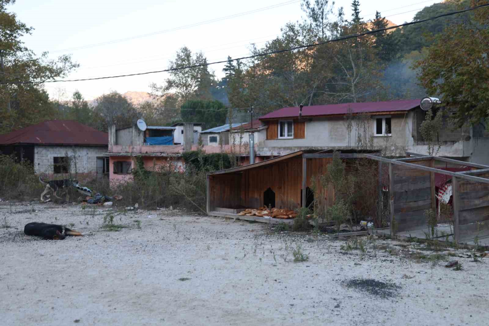 Yolda giderken kafası salça bidonuna sıkışan köpeği görüp kurtardı
