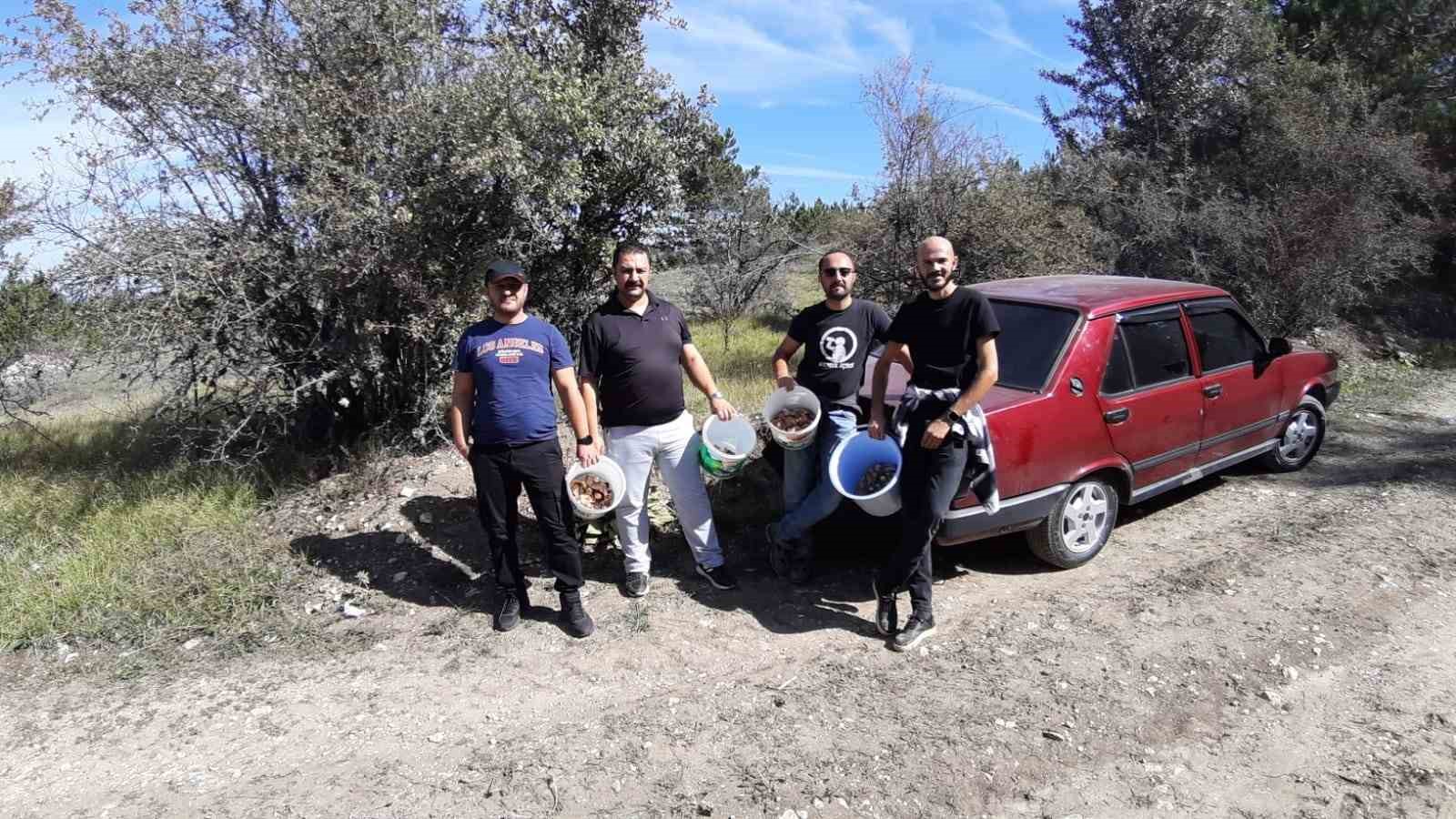 Yağmurun ardından kanlıca mantarı bereketi
