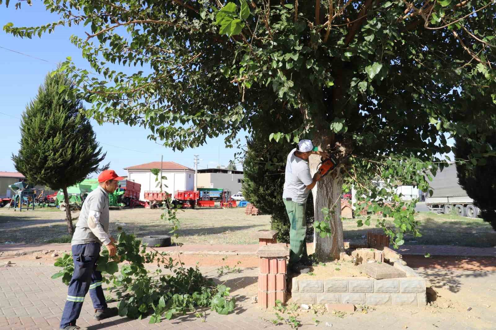 Gıdı Gıdı’da kapsamlı temizlik çalışması
