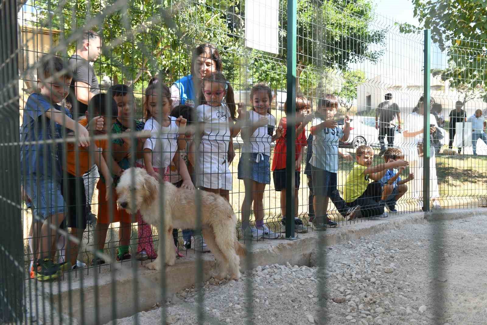 Çocuklar hayvan bakımevini gezdi
