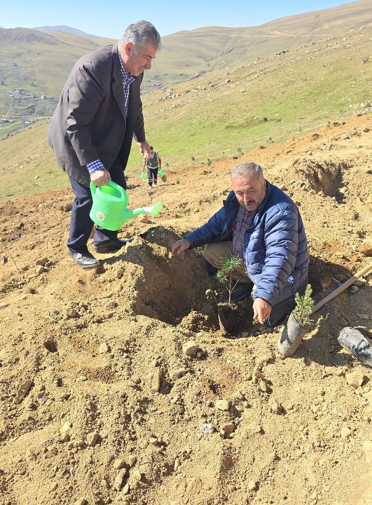 Bektaş Yaylası’nda fidan dikim etkinliği düzenlendi
