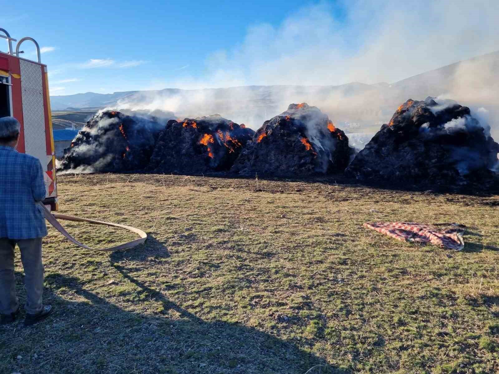 Van’da 9 bin bağ ot yandı
