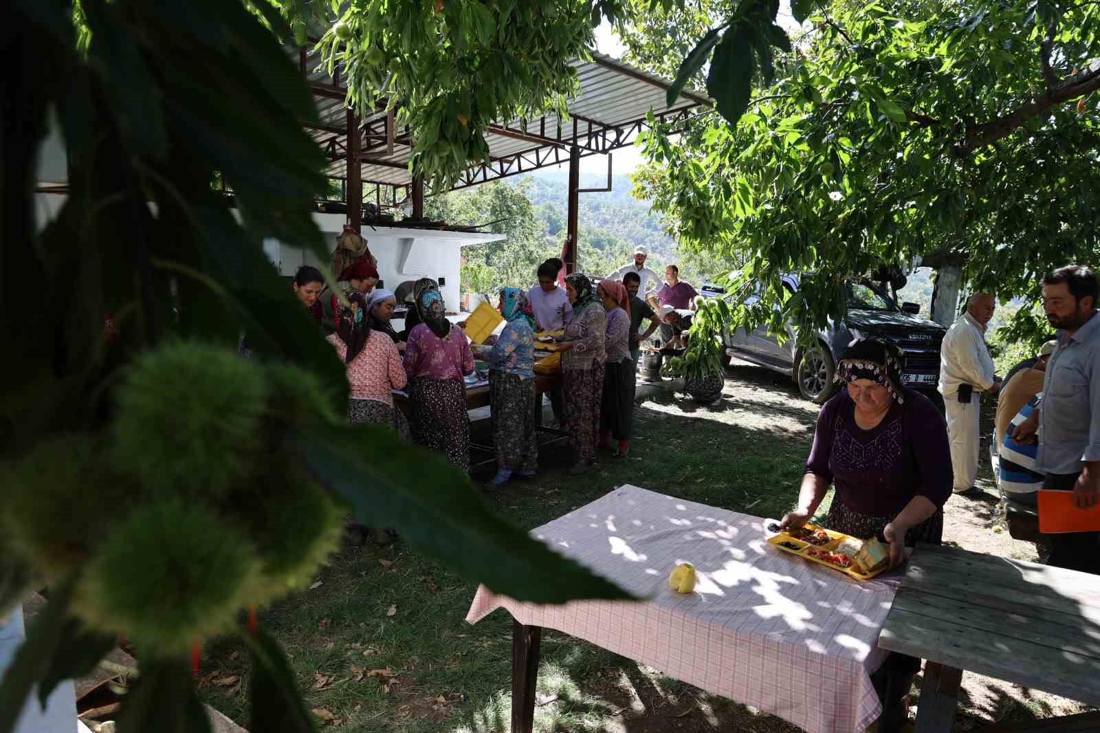 Aydın dağlarında kestane hasadı telaşı başladı
