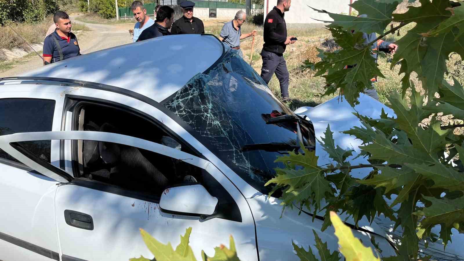 Ağaçlara çarpan otomobilin sürücüsü ağır yaralandı
