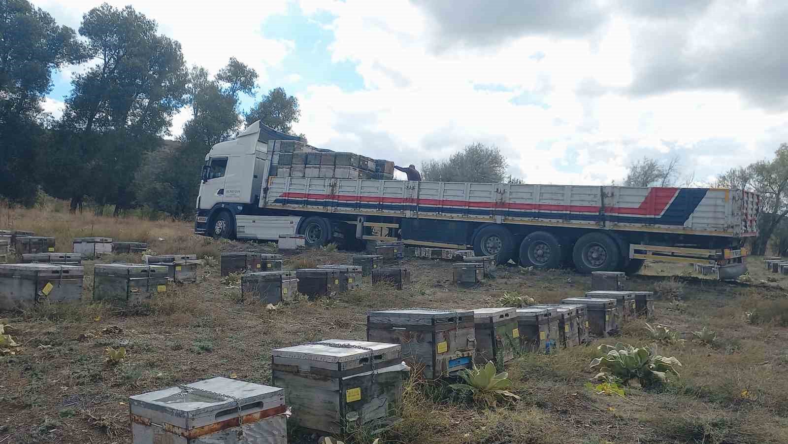 Havaların soğumasıyla arıcıların göç mesaisi başladı
