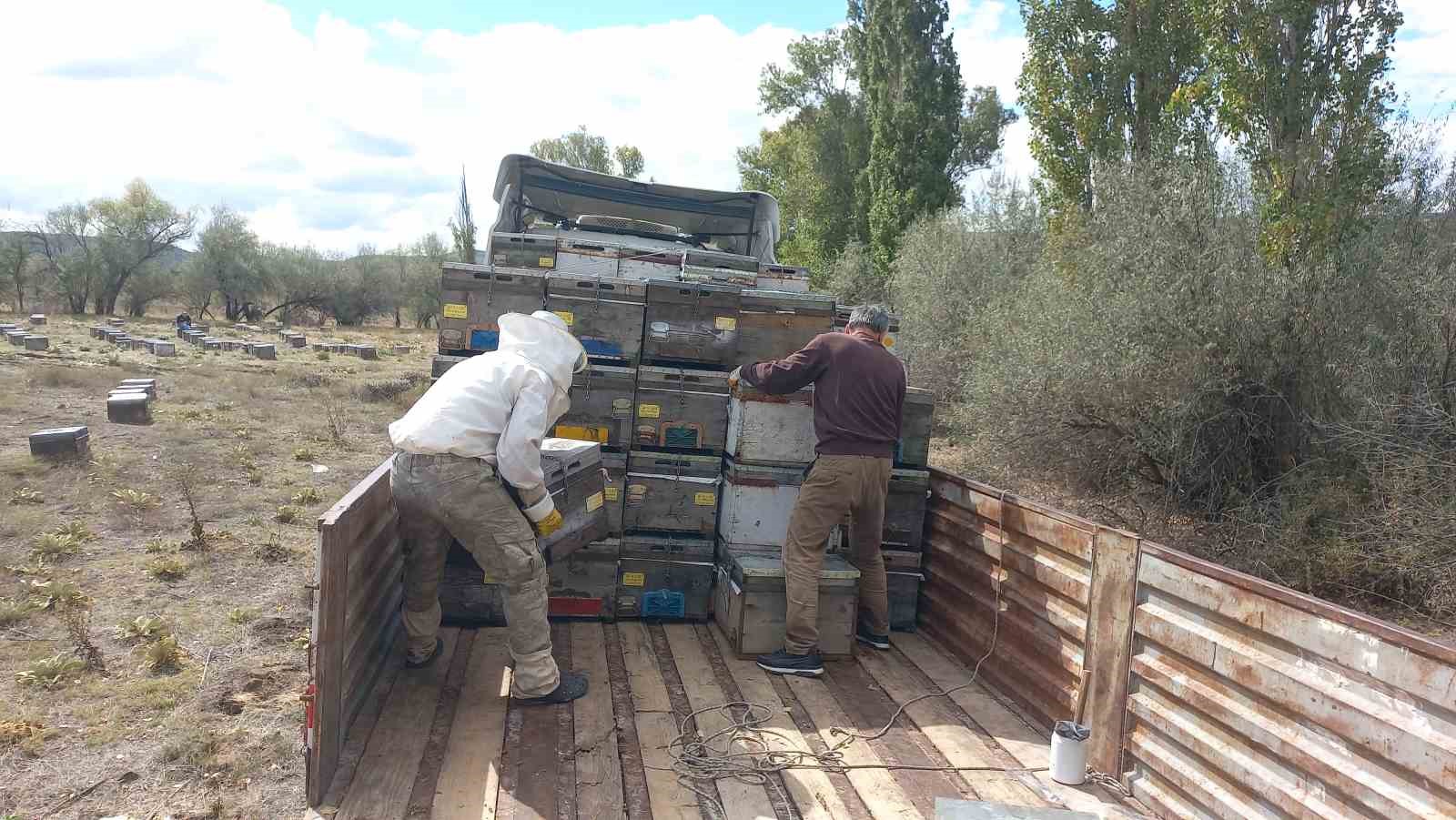 Havaların soğumasıyla arıcıların göç mesaisi başladı
